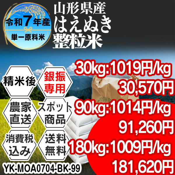 はえぬき 単銘柄 整粒米 1等 精白米 山形県 R7年産 税・送料込★銀行振込