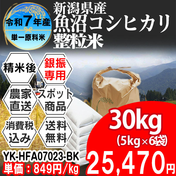 魚沼コシヒカリ 単銘柄 大粒整粒米 新潟県 南魚沼 R7年産 1等米 精白米 30kg(5kg×6) 【事前銀行振込】 発送は発送予定表を要確認 (消費税・送料込/配送不可：沖縄・離島)